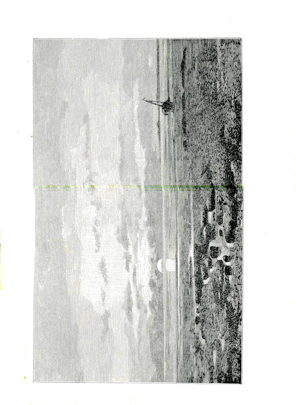 oen-img/oen18/o18-193a.jpg